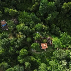 Mahout Wayanad - An Experiential Jungle With Waterfall India